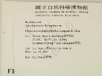 登錄號:F0010495藏品圖，第2張