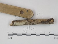 登錄號:F0010495藏品圖，第1張
