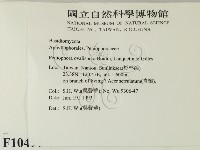 登錄號:F0010497藏品圖，第2張