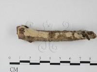 登錄號:F0010497藏品圖，第1張