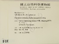 登錄號:F0010499藏品圖，第2張