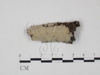 登錄號:F0010499藏品圖，第1張