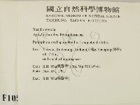 登錄號:F0010500藏品圖，第2張