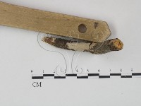 登錄號:F0010500藏品圖，第3張