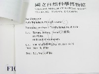 登錄號:F0010501藏品圖，第3張