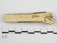 登錄號:F0010501藏品圖，第4張