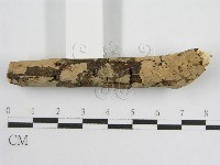 登錄號:F0010501藏品圖，第5張