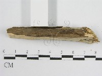 登錄號:F0010501藏品圖，第6張