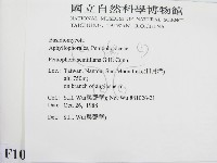 登錄號:F0010502藏品圖，第2張