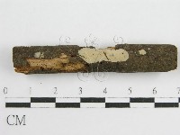 登錄號:F0010502藏品圖，第3張