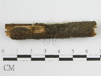登錄號:F0010502藏品圖，第4張