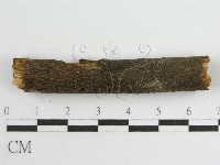 登錄號:F0010502藏品圖，第5張