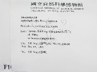 登錄號:F0010503藏品圖，第2張