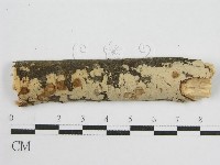 登錄號:F0010503藏品圖，第1張