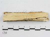 登錄號:F0010503藏品圖，第3張