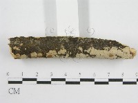 登錄號:F0010503藏品圖，第4張