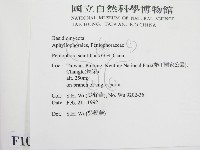 登錄號:F0010504藏品圖，第2張