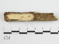 登錄號:F0010504藏品圖，第3張