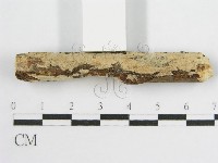 登錄號:F0010504藏品圖，第4張