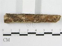 登錄號:F0010504藏品圖，第5張