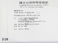 登錄號:F0010505藏品圖，第2張