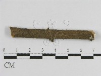 登錄號:F0010505藏品圖，第3張