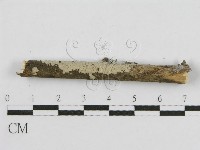 登錄號:F0010505藏品圖，第4張