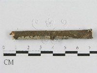 登錄號:F0010505藏品圖，第5張