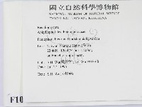 登錄號:F0010506藏品圖，第2張