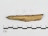 登錄號:F0010506藏品圖，第3張