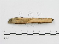 登錄號:F0010506藏品圖，第4張