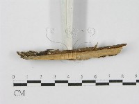 登錄號:F0010506藏品圖，第6張