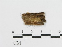 登錄號:F0010507藏品圖，第3張