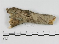 登錄號:F0010508藏品圖，第1張