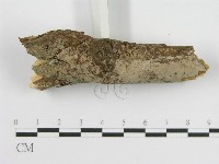 登錄號:F0010508藏品圖，第4張