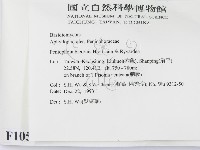 登錄號:F0010509藏品圖，第2張