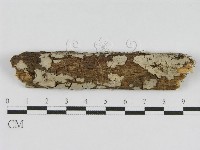登錄號:F0010509藏品圖，第1張