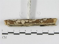 登錄號:F0010509藏品圖，第4張