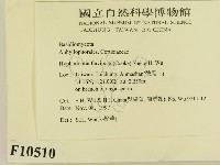 登錄號:F0010510藏品圖，第2張