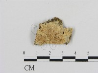 登錄號:F0010510藏品圖，第1張