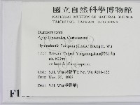 登錄號:F0010511藏品圖，第2張