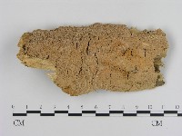 登錄號:F0010511藏品圖，第1張