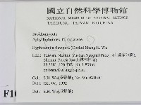 登錄號:F0010512藏品圖，第2張