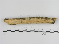 登錄號:F0010512藏品圖，第3張