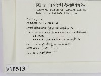 登錄號:F0010513藏品圖，第2張