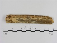 登錄號:F0010513藏品圖，第1張
