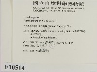 登錄號:F0010514藏品圖，第2張