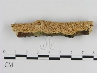 登錄號:F0010514藏品圖，第1張
