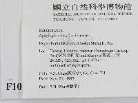 登錄號:F0010515藏品圖，第2張