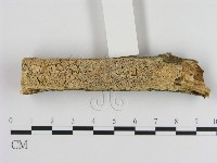 登錄號:F0010515藏品圖，第1張
